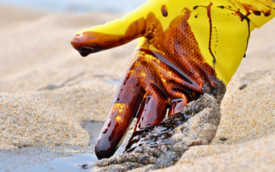 Why You Should Hire a Professional Hazmat Cleanup Contractor